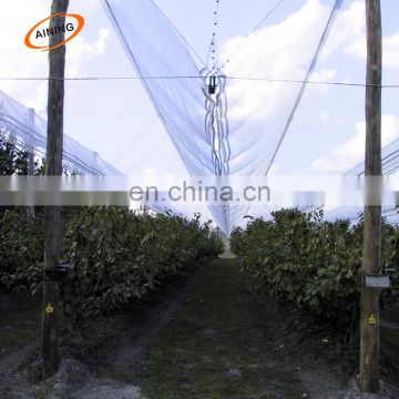 hail net for apple tree manufacturer in China