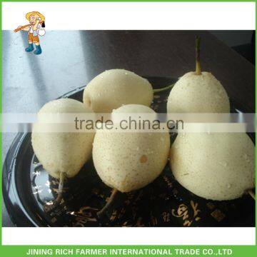 Sweet Ya Pear From China