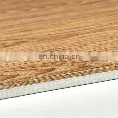 Decorative Prefab Houses Porcelain Floor Tiles 600x600 Matt