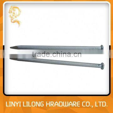 Made In China Galvanized Concrete Nails/Steel Nails photo-2