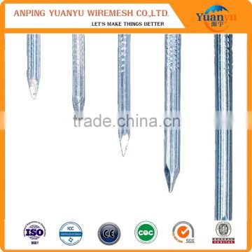 # iron nail 1''-6''/cheap price iron wire nail/iron nail/common nail