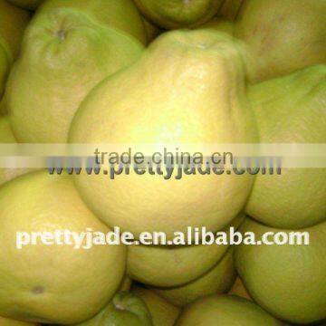 New season fresh Pomelo