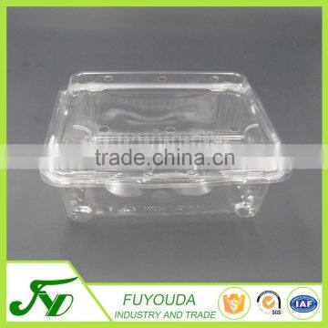 Plastic Clamshell Fruit Container