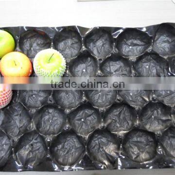 Food Grade Custom Made Thermoformed Plastic Fruit Serving Tray