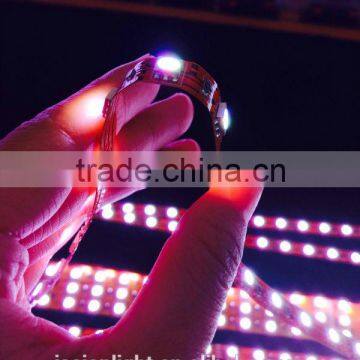 5050 smd IP68 waterproof black pcb led flexible strip