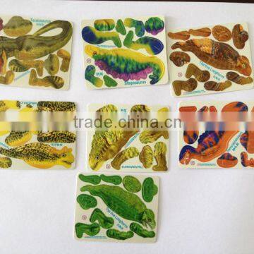 3d dinosaur puzzle card for kids