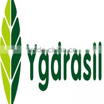 Ygdrasil Toilet Tissue Paper Factory, Facial Tissue photo-4