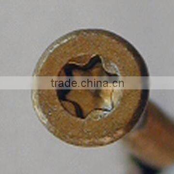 torx head screws
