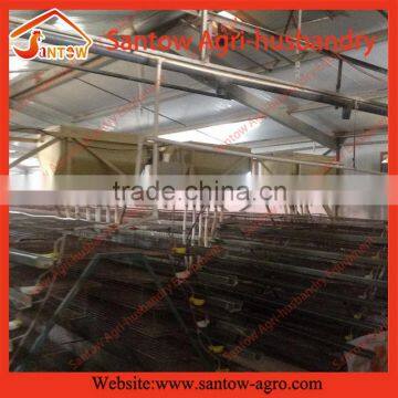 Economic hot sale quail cage jaula con bebedero automatic