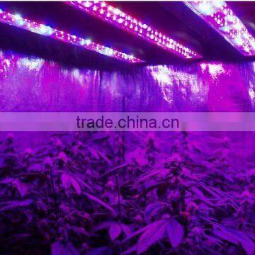 3w diodes High efficiency LED grow light