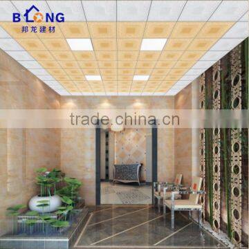 2016 New Decorative Residential Aluminum Ceiling photo-6