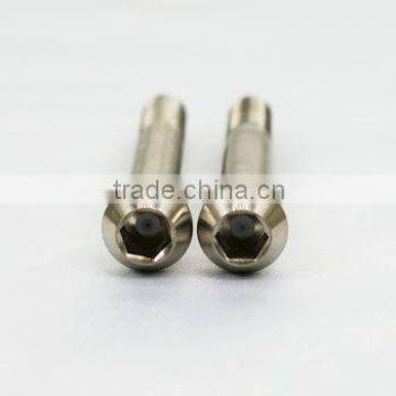 Custom pure titanium / titanium alloy screws