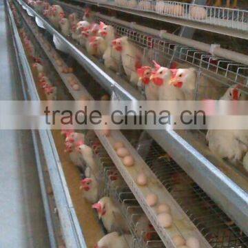 Automatic H type chicken cage