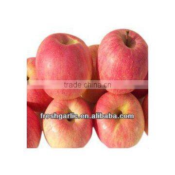 Famous China YanTai best price fresh fuji apple