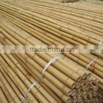 Straight bamboo cane Tonkin Bamboo Cane 16-18mm cheap bamboo cane