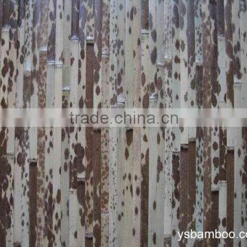 Latest Design Bamboo Wallpaper