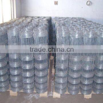 Galvanized Welded Wire Mesh