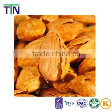 TTN Wholesale Almond Nuts Price For Sale Bulk Raw Almond