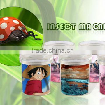 Insect Bug Kits,Bug pots,Magnifying glass,Bug Kid's Insect / Bug Box