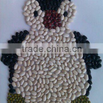 Japanese white kidney bean 2011 crop, Heilongjiang origin, Hps)