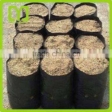Yiwu Eco-friendly Biodegradable Plastic High Quality Nursery Planting Bags