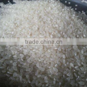 Vietnam Sushi Rice ( Japonica Rice )