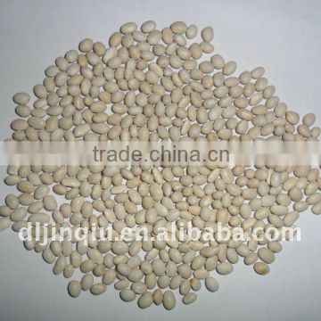 white kidney beans navy type