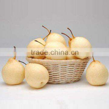 Pear Fresh