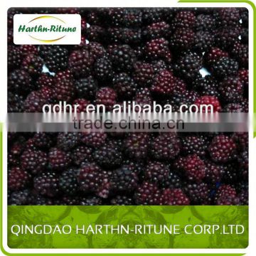 frozen blackberry wholesale