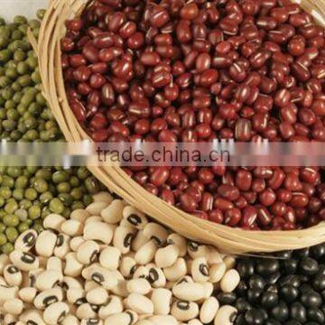 Red Kidney Beans for Hot Sale and With Free Sample for Sale photo-3