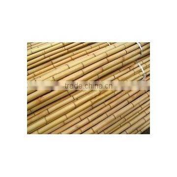Nature Dried Bamboo Pole Diameter 2-10cm Height 6m for Sale photo-3