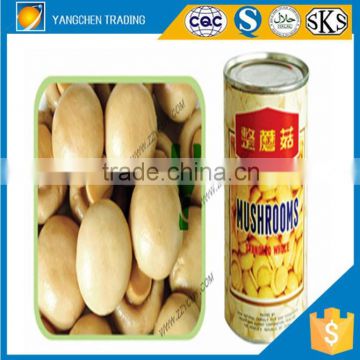 Fresh vegetable of canned mushrooms in brine mushroom price