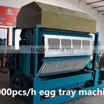 Paper egg tray machine line whtsapp008618720984568