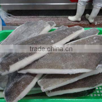 Wholesale Frozen Greenland Halibut Fillet (Reinhardtius hippoglossoides)