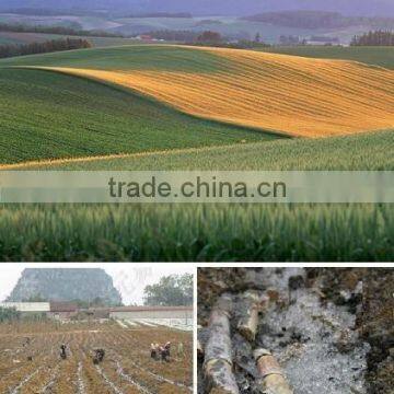 facctory specific SAP sodium polyacrylate for agriculture