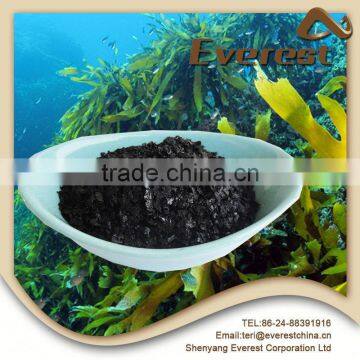2016 Hot Sale Natural Kelp Source High Quality Seaweed Extract Powder Fertilizer