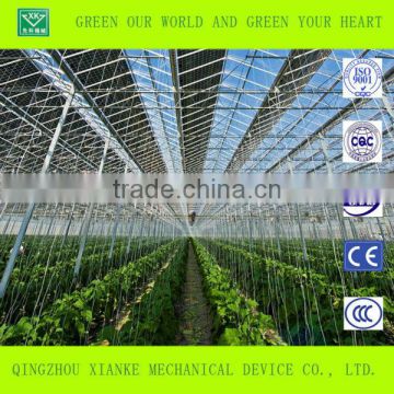 Multi-Span Glass Greenhouse for Agricultural Seeding