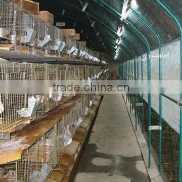 Low Cost Plastic Tunnel Greenhouse for Used Poultry Farm photo-3