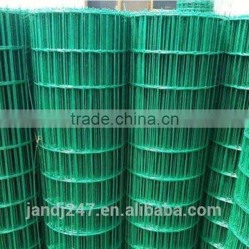 PVC Coated Welded Wire Mesh With Low Price photo-6