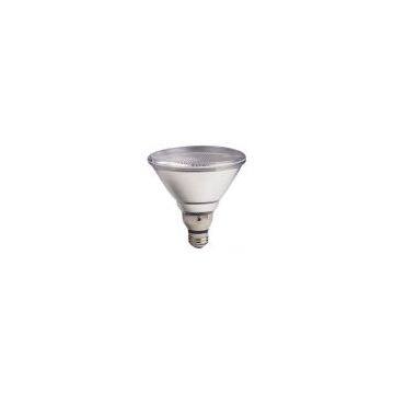 Line Voltage Halogen Bulb