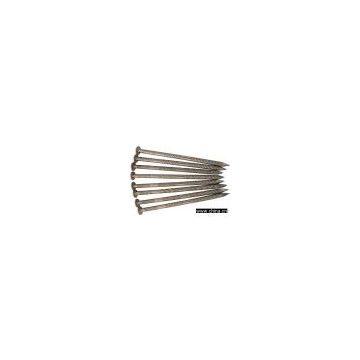 Screw Shank Commons Series, Stainless Steel Nail