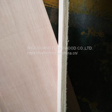 china good factory supply commercial plywood for modern furniture design and home furniture