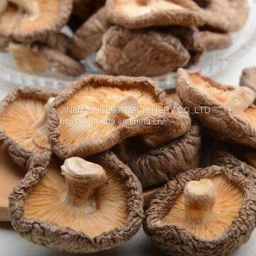 Сухильная машина для грибов photo-5