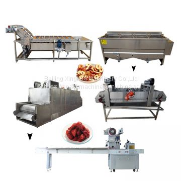 fruit processing line