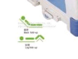 Medical Bed / Nursing Bed / Hospital Bed photo-2