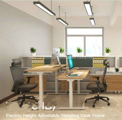 Dual Motor Electric Height Adjustable Desk Sit Stand Desk