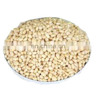 Byloo Afghan Pure Red Pine Nuts Chilgzi Black Pine Nuts Afghan photo-5