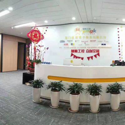 XiongBa DianZi Automation Equipment Co,Ltd company overview - view 1