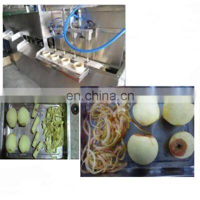Dried Mango Processing Plant photo-3