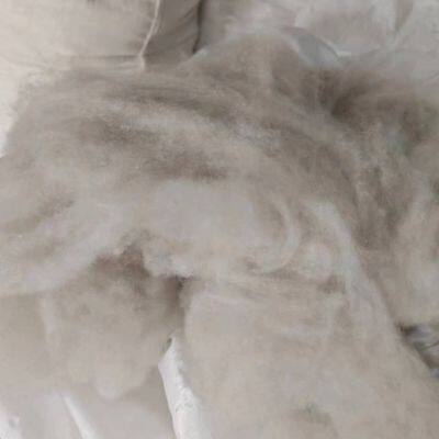 Factory Supply Tibetan Dehaired Cashmere Fiber Tibet Cashmere in Stock photo-3
